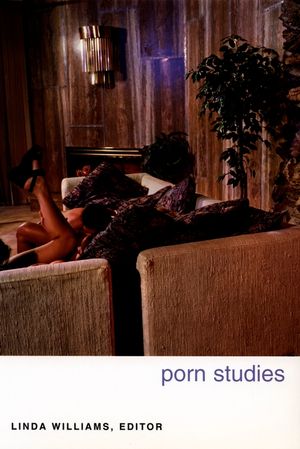Porn Studies image number 0
