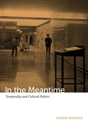 In the Meantime: Temporality and Cultural Politics image number 0