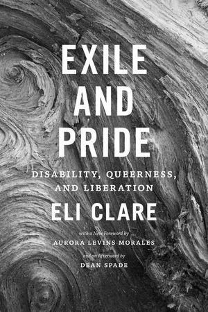 Exile and Pride: Disability, Queerness, and Liberation image number 0