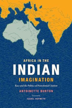 Africa in the Indian Imagination: Race and the Politics of Postcolonial Citation image number 0