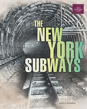 New York Subway System image number 0