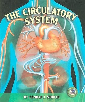 The Circulatory System image number 0