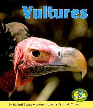 Vultures image number 0