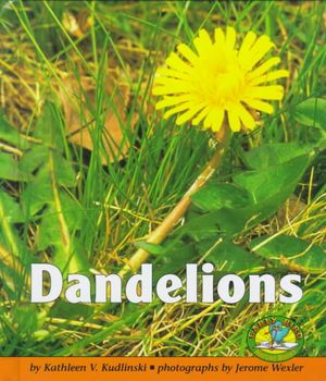 Dandelions image number 0
