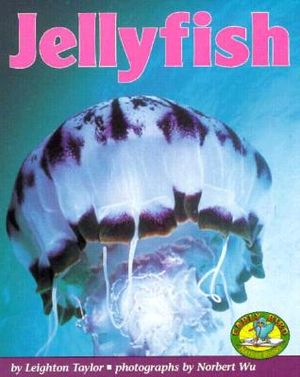 Jellyfish image number 0