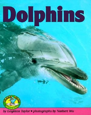 Dolphins image number 0