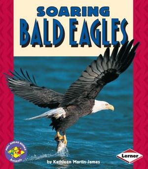 Soaring Bald Eagles image number 0