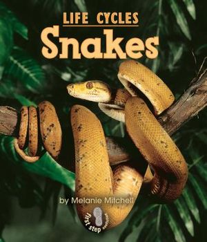 Snakes image number 0
