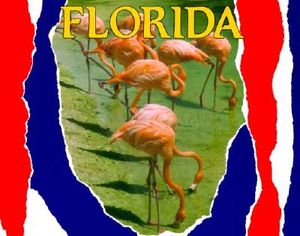 Florida image number 0