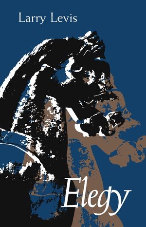 Elegy image number 0