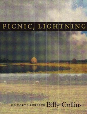 Picnic, Lightning image number 0