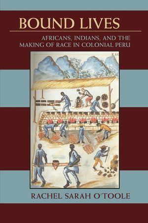 Bound Lives: Africans, Indians, and the Making of Race in Colonial Peru image number 0