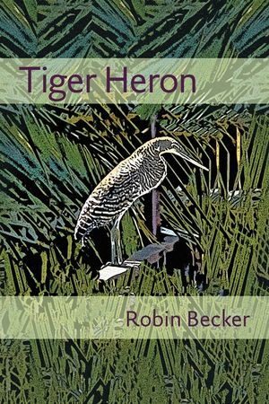 Tiger Heron image number 0