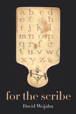 For the Scribe image number 0