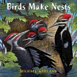 Birds Make Nests image number 0