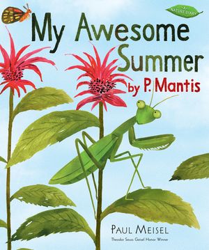 My Awesome Summer by P. Mantis image number 0