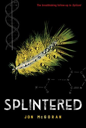 Splintered image number 0