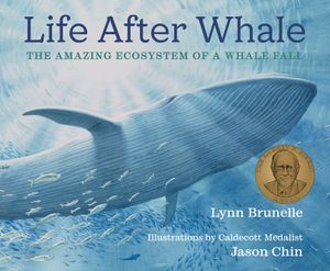 Whale Fall image number 0