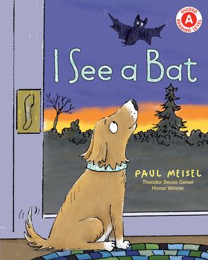 I See a Bat image number 0