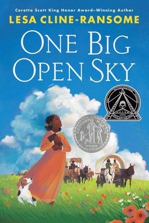 One Big Open Sky image number 0