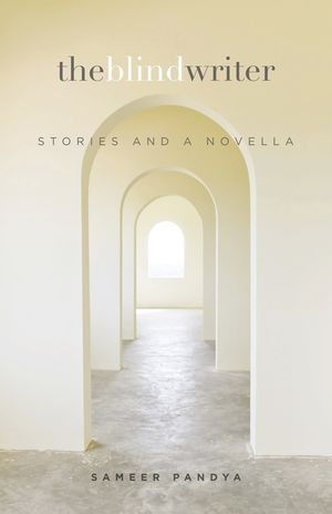 The Blind Writer: Stories and a Novella image number 0