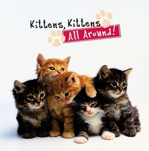 Kittens, Kittens All Around! image number 0