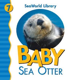Baby Sea Otter image number 0