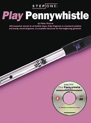 Step One: Play Pennywhistle [With Music Examples and Tunes Played by Professionals] image number 0