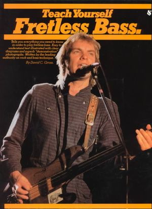 Teach Yourself Fretless Bass image number 0