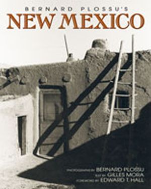 Bernard Plossu's New Mexico image number 0