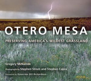 Otero Mesa: Preserving America's Wildest Grassland image number 0