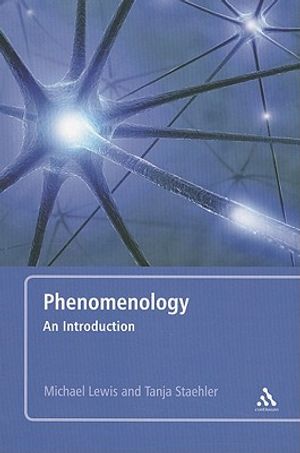 Phenomenology image number 0