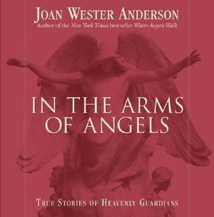 In the Arms of Angels: True Stories of Heavenly Guardians image number 0