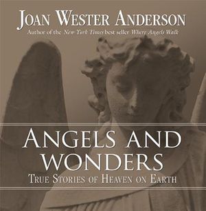 Angels and Wonders: True Stories of Heaven on Earth image number 0