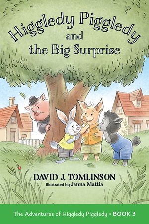Higgledy Piggledy and the Big Surprise: The Adventures of Higgledy Piggledy Book 3 Volume 3 image number 0
