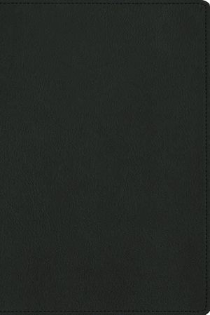 Nbla, Biblia Para La Lectura P&uacute;blica, Versificada, Letra Grande, Piel de Cabra, Verde: Para Quienes Se Deleitan En Compartir Su Palabra image number 0