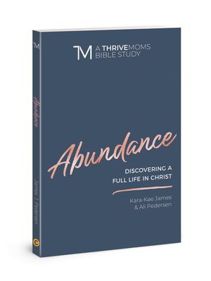 Abundance: Discovering a Full Life in Christ image number 0