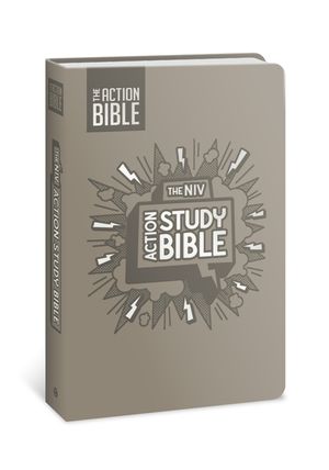 The NIV Action Study Bible, Leathersoft, Gray, Full Color image number 0