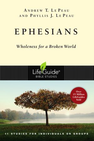 Ephesians: Wholeness for a Broken World image number 0