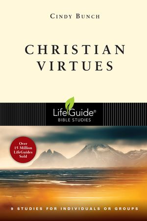 Christian Virtues image number 0