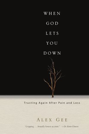 When God Lets You Down: Trusting Again After Pain and Loss image number 0