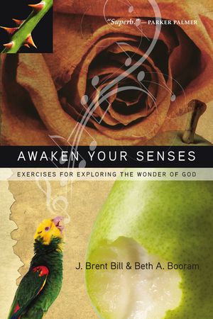 Awaken Your Senses: Exercises for Exploring the Wonder of God image number 0