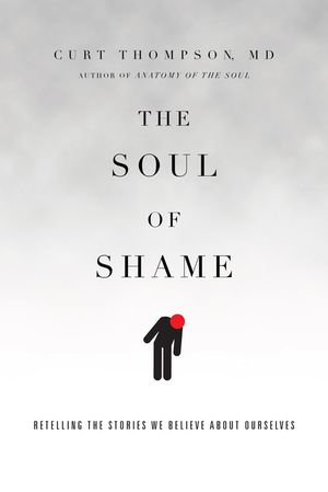 The Soul of Shame: Retelling the Stories We Believe about Ourselves image number 0