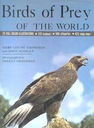 Birds of Prey image number 0
