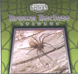 Brown Recluse Spiders image number 0