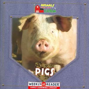 Pigs image number 0