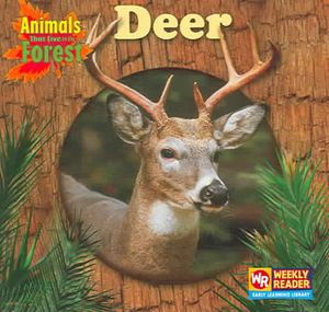 Deer image number 0