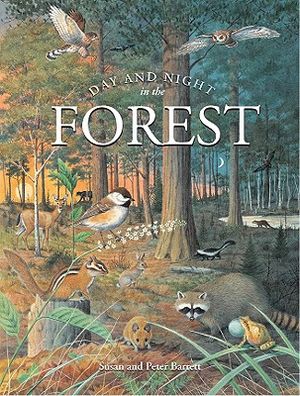 Day & Night in the Forest image number 0