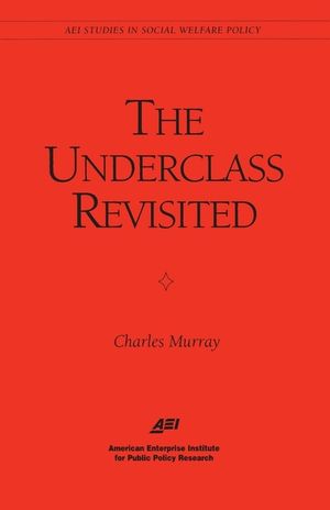 The Underclass Revisited image number 0