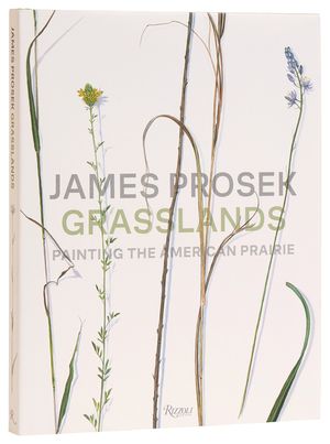 James Prosek Grasslands: Painting the American Prairie image number 0